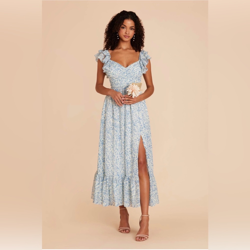 Birdy Grey Michelle Chiffon Dress